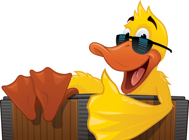 Image of Spa Max Duck Character in a Hot Tub